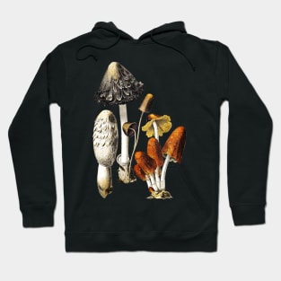 Mushrooms and Fungi Hoodie